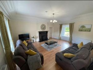 a living room with a couch and a fireplace at Wildflower Cottage in Clonmel