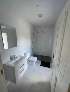 a white bathroom with a toilet and a sink at Wildflower Cottage in Clonmel