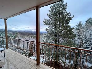 a balcony with a view of a snow covered tree at Queen of Orliaka in Grevena