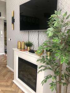 Telewizja i/lub zestaw kina domowego w obiekcie Glamorous Apartment Old Town Cracow