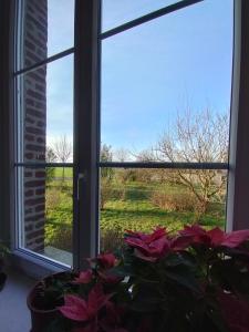 a window with a view of a field outside at La Ferme du Parc in Pendé
