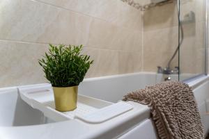 einer Topfpflanze auf einer Badewanne in der Unterkunft Spacious & Central Ground Floor Apt in Royal Tunbridge Wells