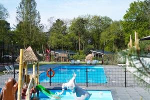 een zwembad met een glijbaan en een paard in het water bij De Rimboe en de Woeste Hoogte in Hoenderloo
