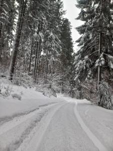 Fotografie z fotogalerie ubytování Chalet Hay Huy v destinaci Buşteni