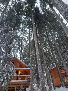 Fotografie z fotogalerie ubytování Chalet Hay Huy v destinaci Buşteni