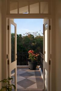 LohonoStays Villa Aurelia E في فاغاتور: باب مفتوح للشرفة مع وعاء من الزهور