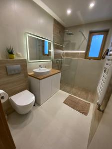 a bathroom with a toilet and a sink and a shower at Apartamenty Cicha Dolina in Jurgów