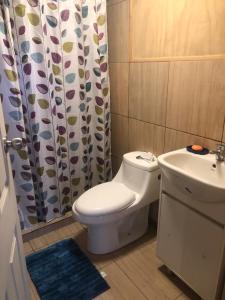 a bathroom with a toilet and a sink and a shower curtain at Los carbon in Ancud