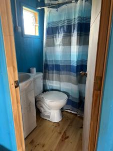 a bathroom with a toilet and a shower curtain at Los carbon in Ancud
