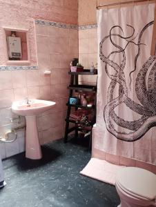 バルパライソにあるCasa Vista Hermosaのバスルーム(シャワーカーテン、シンク付)