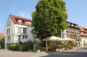 Hotel Ochsen في شتوتغارت: شجرة امام مبنى ابيض مع مظلات