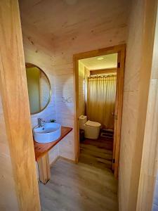 a bathroom with a sink and a toilet and a mirror at Refugio con calefaccion central y tinaja in Malalcahuello