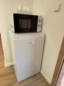 a microwave sitting on top of a refrigerator at Rybářská 32 in Uherské Hradiště