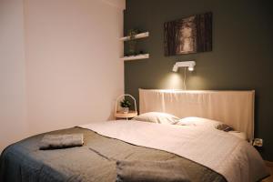 1 dormitorio con 1 cama con cabecero y lámpara en Forest View Apartment, en Jáchymov
