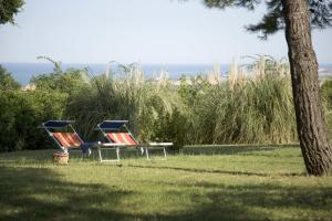 two chairs and a table in the grass near a tree at Il Casale Di Montefreddo in Sirolo