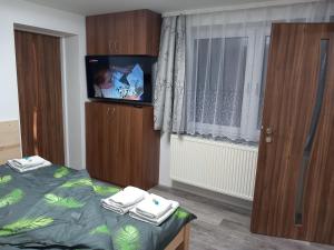 1 dormitorio con 1 cama y TV. en apartmánydelu en Blansko