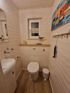 a small bathroom with a toilet and a sink at Hausboot Liliput in Stralsund