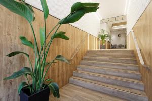une plante dans un pot à côté d'un escalier dans l'établissement Green House Hotel, à Barcelone