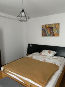 Un pat sau paturi într-o cameră la Apartament Gold 2