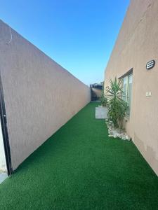 a concrete wall with green grass next to a building at منتزة درة العروس in Taif