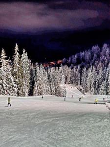 a group of people skiing down a snow covered slope at Zum Bahngarten 1907 in Soprabolzano