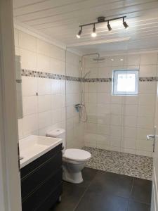 uma casa de banho com um WC, um lavatório e um chuveiro em Ferienhaus Erlengrund em Staphel