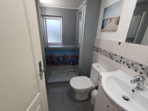 uma casa de banho com um WC, um lavatório e um chuveiro em Ferienhaus Erlengrund em Staphel