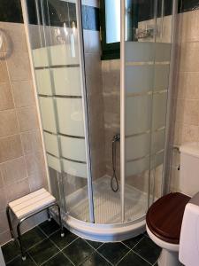 łazienka z prysznicem ze stołkiem i toaletą w obiekcie Muntenia Inn Apartments and Suites w Kalawricie