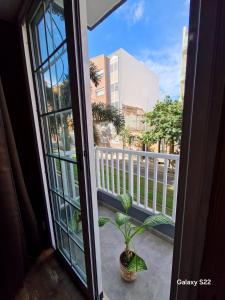 una ventana con una maceta en el balcón en Coffee&Bed Tenerife Dreams en Santa Cruz de Tenerife
