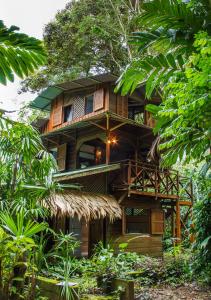 a tree house in the middle of a forest at Finca Chica Lodge & Villas in Puerto Viejo