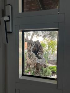 Vonkajšia záhrada v ubytovaní Petasos House - Garden - Sea View