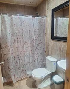 un baño con inodoro y lavabo en Cabaña en Castro Chiloe, en Castro