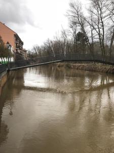 a body of water with a bridge over it at Naturaleza Soria Parques Naturales in San Esteban de Gormaz