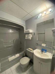 a bathroom with a toilet and a sink and a mirror at Ocean View Hotel in Rocky Harbour