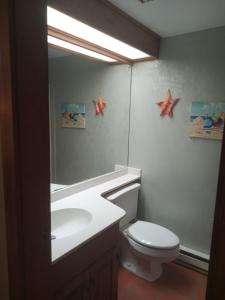 a bathroom with a sink and a toilet and a mirror at Ski to your back door! Shared condo with ski professional and cat. in Warren