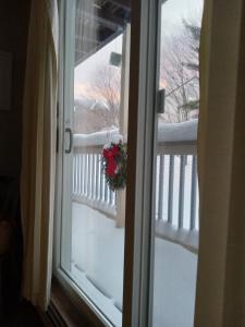Ski to your back door! Shared condo with ski professional and cat. durante el invierno