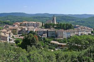 a town on a hill with houses and trees at Maison à Flayosc, entre la mer et le Verdon. in Flayosc +7 photos