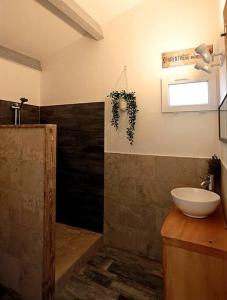 La salle de bains est pourvue d'un lavabo et d'une douche. dans l'établissement Maison à Flayosc, entre la mer et le Verdon., à Flayosc