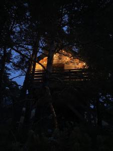 un edificio es visto a través de algunos árboles por la noche en Les Cabanes de Maya, en Caille