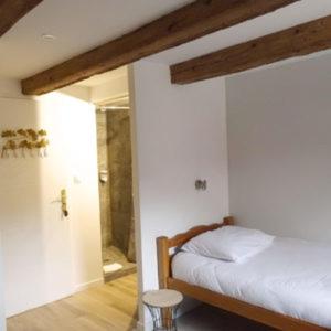1 dormitorio con 1 cama y ducha a ras de suelo en La Tour de Coron, en Belley