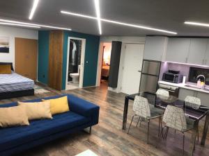 Χώρος καθιστικού στο Casa Velha Azeitona +6 φωτογραφίες