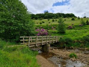un puente de madera sobre un arroyo con flores en una colina en Tanyard Barn - Luxury Hot Tub & Secure Dog Field Included, en Old Glossop