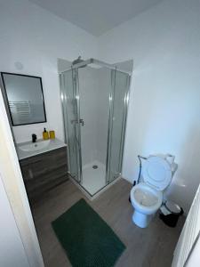 a bathroom with a shower and a toilet and a sink at Studio tropical , vierzon , proche gare , tout confort in Vierzon