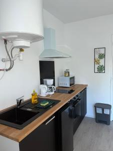 a kitchen with a sink and a counter top at Studio tropical , vierzon , proche gare , tout confort in Vierzon