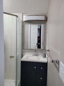 a bathroom with a sink and a mirror and a shower at Brand new house with private bath in each room in West Seneca