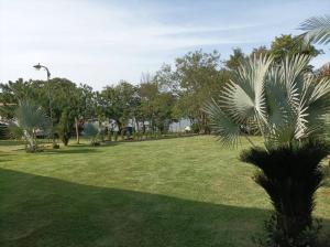 Gallery image of Quinta Las Palmeras, Cond. Cerrado seguridad 24hs. in Hernandarias +47 photos