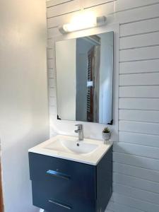 a bathroom with a sink and a mirror at Bonheur en Centre-Ville : Réservez votre Évasion F2 à Basse-Terre in Basse-Terre