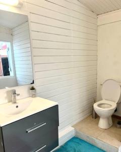 a bathroom with a toilet and a sink and a mirror at Bonheur en Centre-Ville : Réservez votre Évasion F2 à Basse-Terre in Basse-Terre