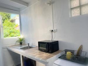 a kitchen counter with a microwave and a sink at Bonheur en Centre-Ville : Réservez votre Évasion F2 à Basse-Terre in Basse-Terre