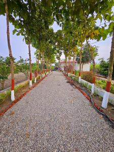 eine Straße mit Bäumen und orangefarbenen und weißen Stangen in der Unterkunft Jungle Heritage in Paliā Kalān